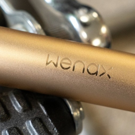 Wenax M2