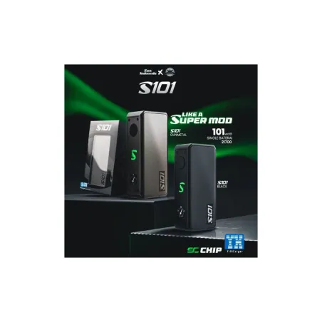 S101