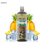 Kit Pineapple Ice 10000 puffs 10ml - Gobar