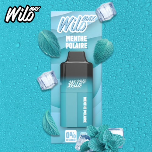 Kit Wilo Max Menthe Polaire 3000 puffs 2+10ml - Wilo Max