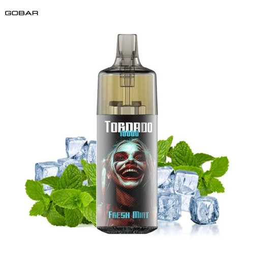 Kit Fresh Mint 10000 puffs 10ml - Gobar