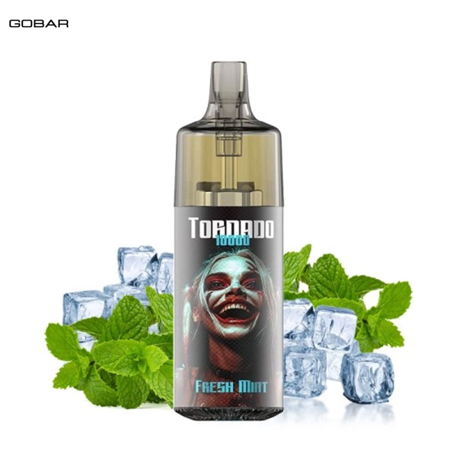Kit Fresh Mint 10000 puffs 10ml - Gobar