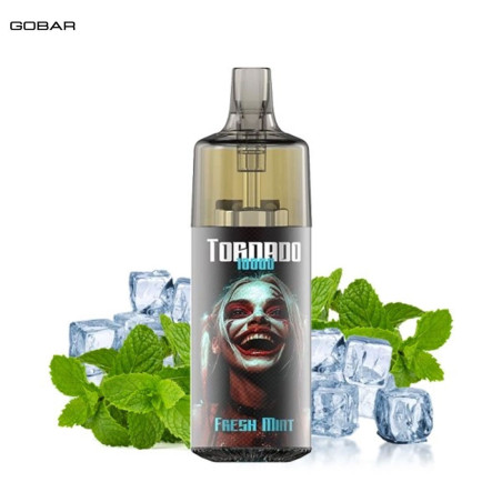 Kit Fresh Mint 10000 puffs 10ml - Gobar