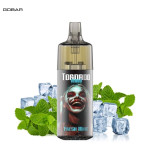 Kit Fresh Mint 10000 puffs 10ml - Gobar