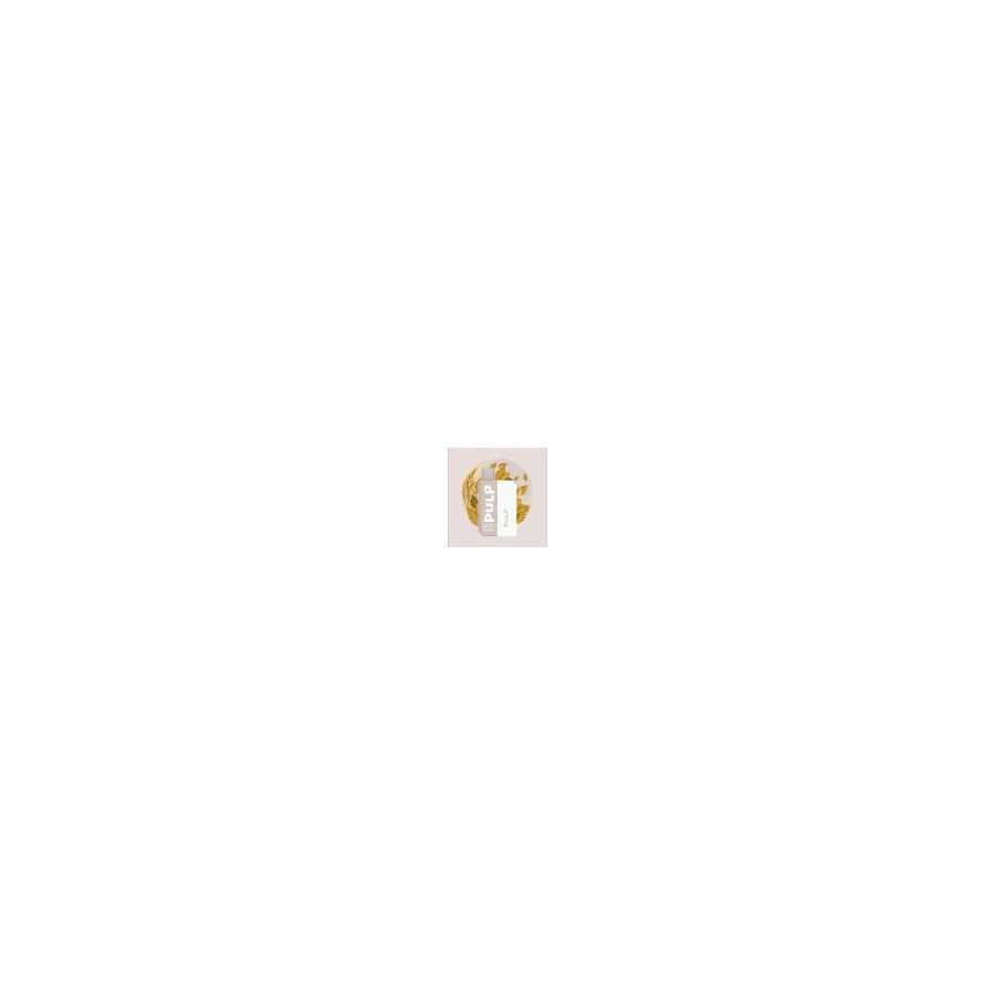Starter Kit Pastèque Citron Glacés 2ml - Pod Flip by Pulp