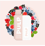 Starter Kit Raisin Noir 2ml - Pod Flip by Pulp
