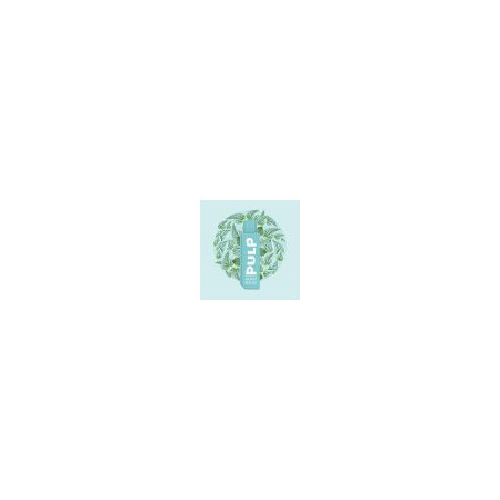 Cartouche Menthe Verte 2ml - Pod Flip by Pulp