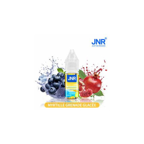 Blueberry Pomegranate Ice