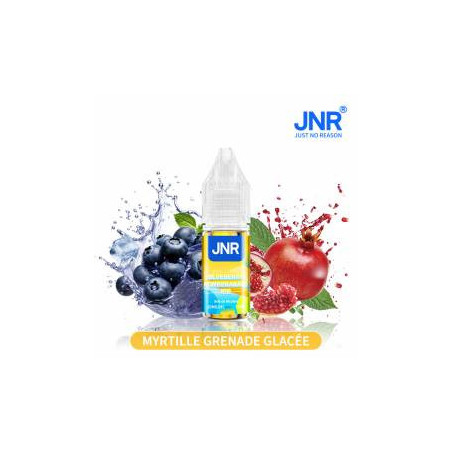 Blueberry Pomegranate Ice