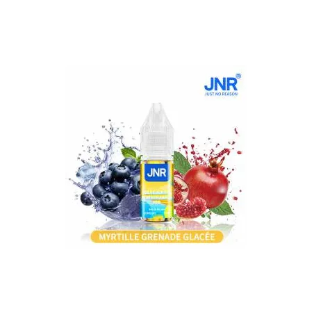 Blueberry Pomegranate Ice