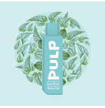 Cartouche Menthe Polaire 2ml - Pod Flip by Pulp