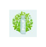 Cartouche Menthe Polaire 2ml - Pod Flip by Pulp