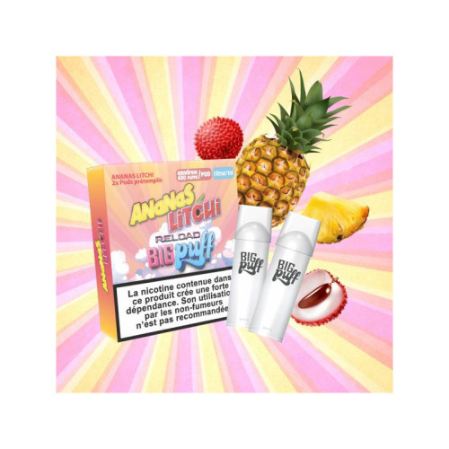 Cartouches Ananas Litchi 600 puffs (2pcs) - Big Puff Reload
