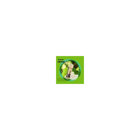Cartouches Crystal Plus par 2 - SKE