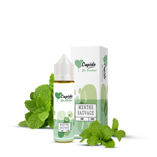 Menthe Sauvage