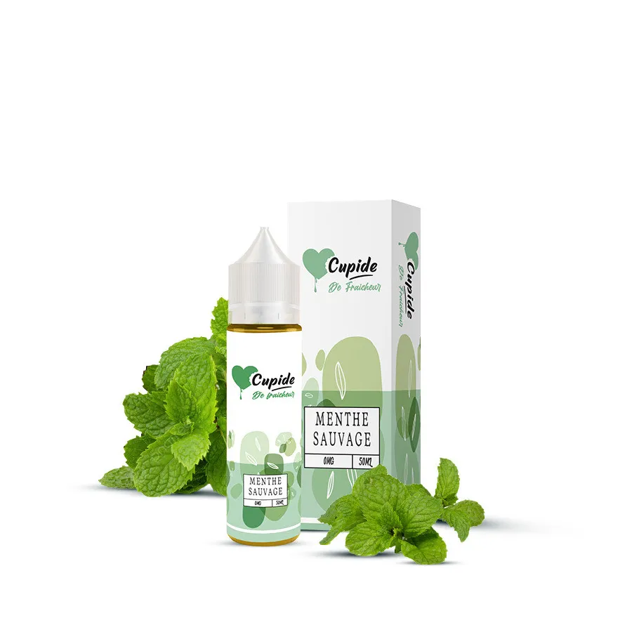Menthe Sauvage