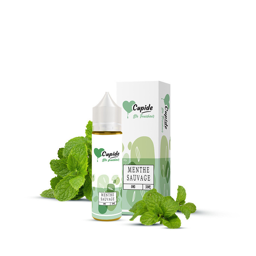 Menthe Sauvage