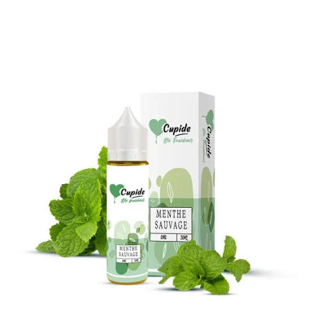 Menthe Sauvage