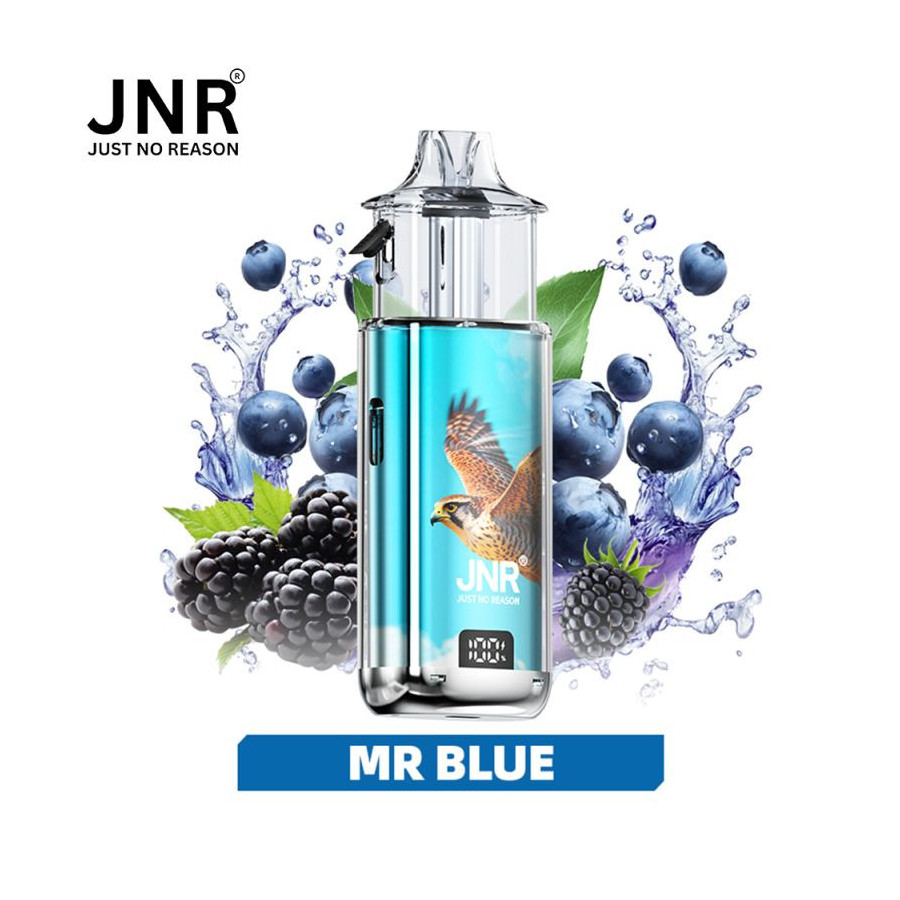Mr Blue