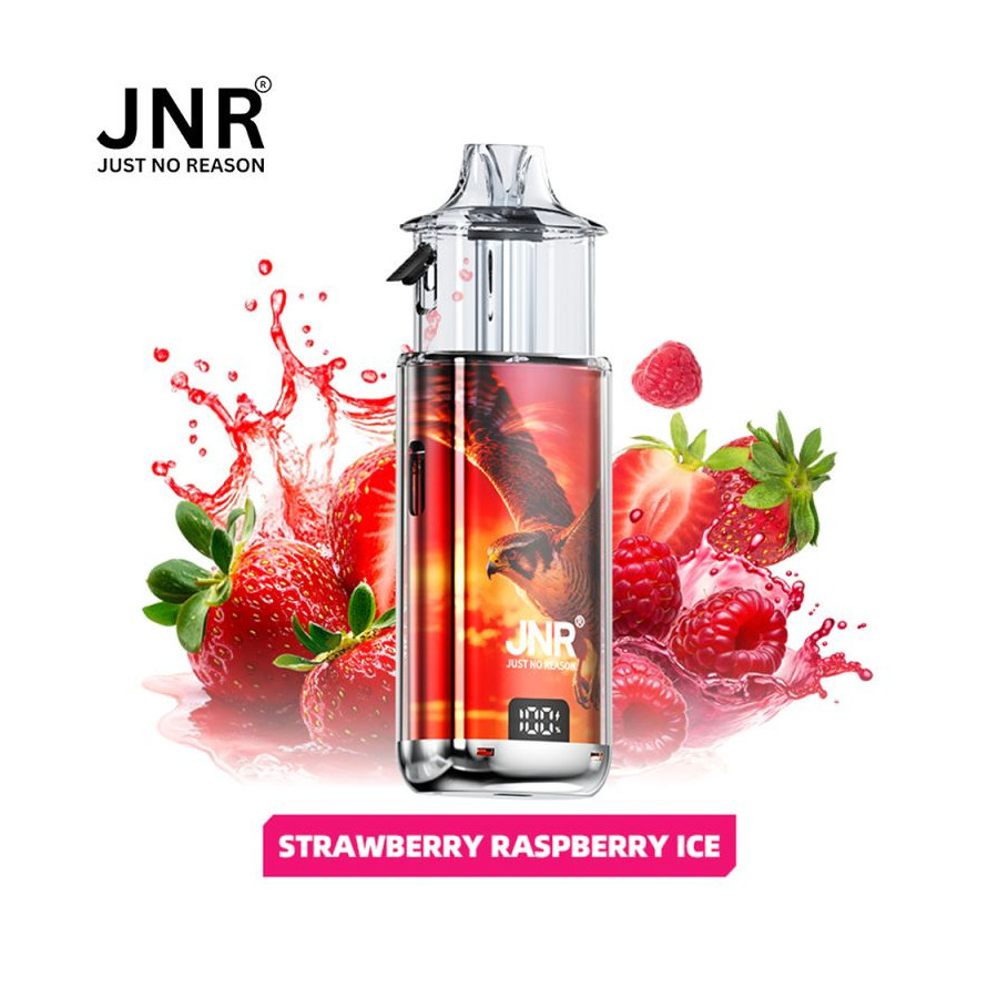 Strawberry Raspberry Ice