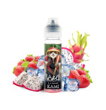 Kami