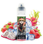 Kami
