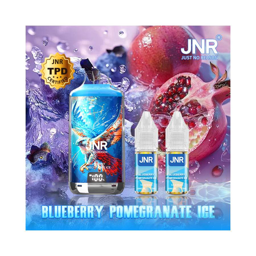 Blueberry Pomegranate Ice