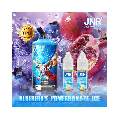 Blueberry Pomegranate Ice