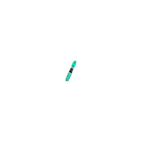Menthe Fraiche