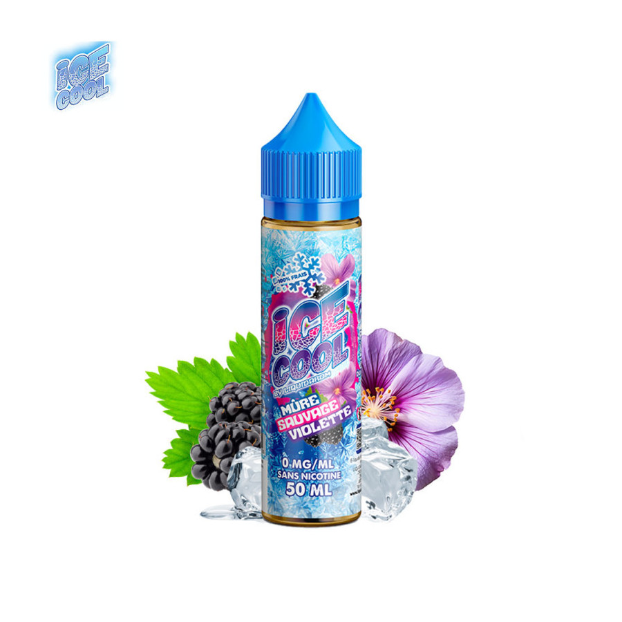 Mûre Sauvage Violette