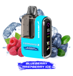 Blueberry Raspberry Ice