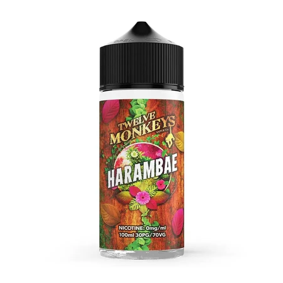 Harambae Twelve Monkeys