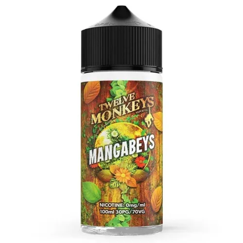 Mangabeys Twelve Monkeys
