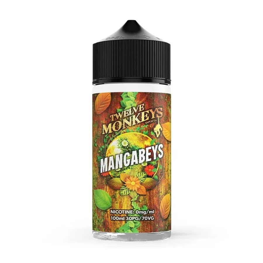 Mangabeys Twelve Monkeys