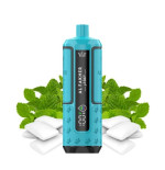 WPUFF - Menthe Fraiche 10ml - LIQUIDEO