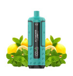 WPUFF - Menthe Fraiche 10ml - LIQUIDEO