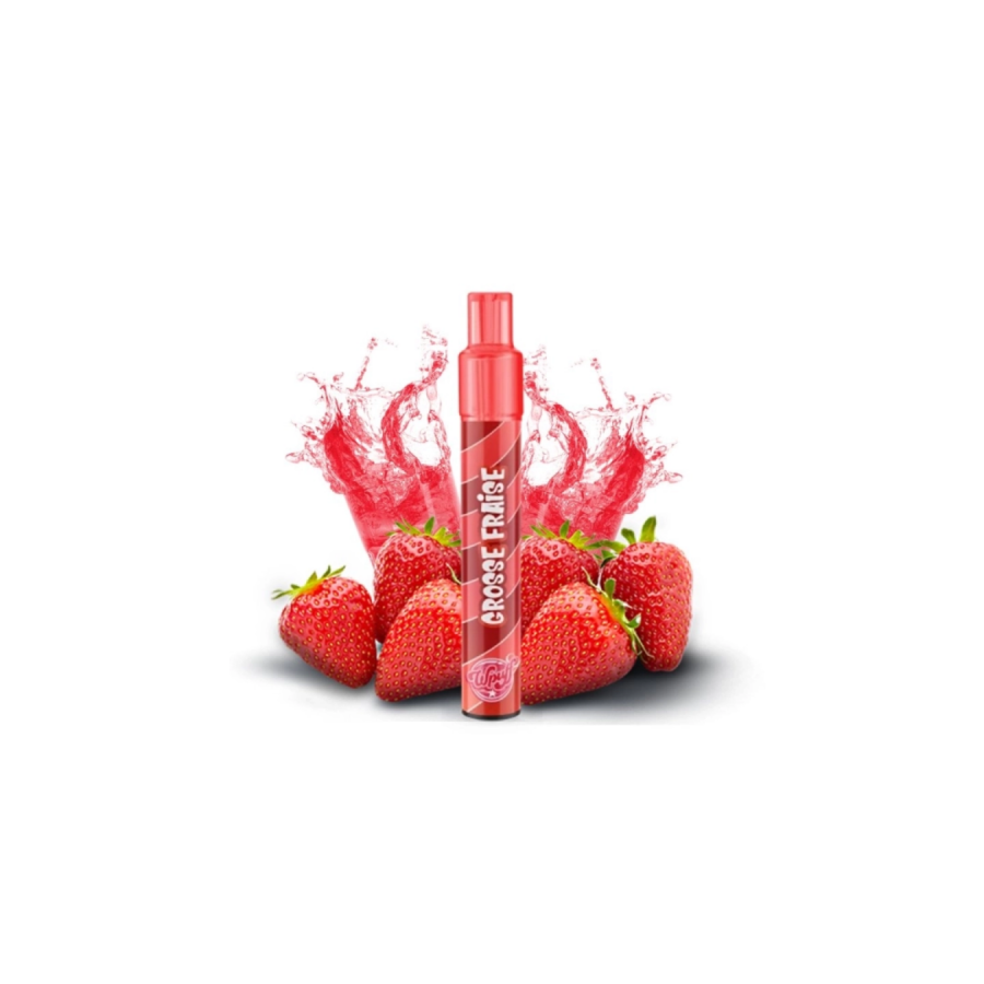 WPUFF - Ananas Coconut 10ml - LIQUIDEO