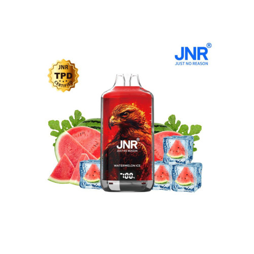 Watermelon Ice 28000 Puffs FALCON X JNR
