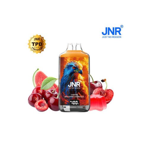 Cherry Watermelon Freeze 28000 Puffs FALCON X JNR
