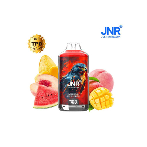 Watermelon Mango Peach 28000 Puffs FALCON X JNR