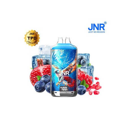 Blueberry Pomegranate Ice 28000 Puffs FALCON X JNR