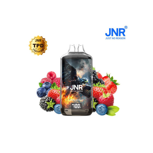 Mixed Berries 28000 Puffs FALCON X JNR