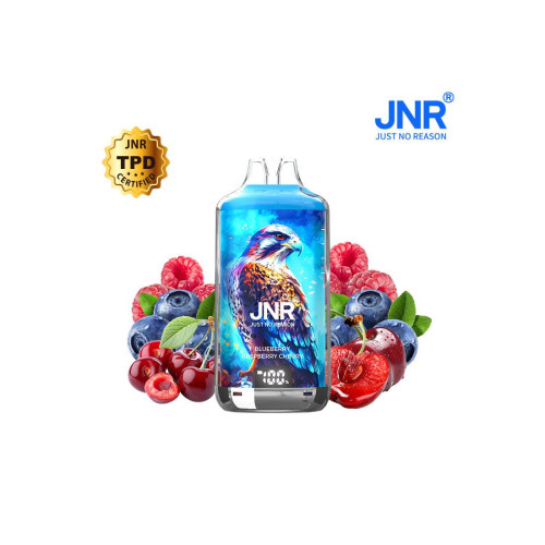 Blueberry Raspberry Cherry 28000 Puffs FALCON X JNR