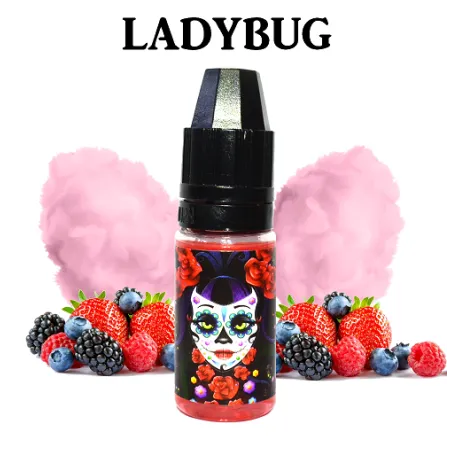 Ladybug