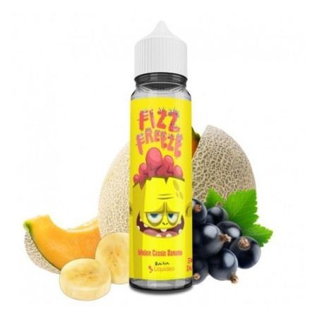 Ice Cool - Cactus, Aloe Vera & Fruit du Dragon 50ml - Liquidarom - 0mg