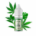 Concentré Og Kush