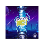 Booster de nicotine Secret's Boost 10ml Secret's LAb (100 pièces)