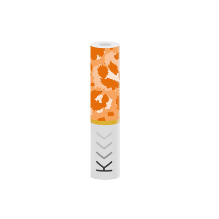Drip tip Filtre pour Kiwi Kiwi Vapor (pack de 20)