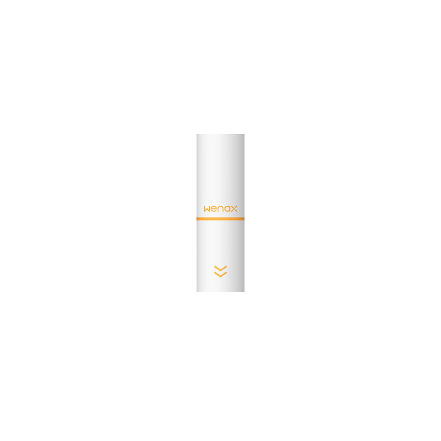 Drip tip Filtre pour Wenax Geekvape (pack de 20)