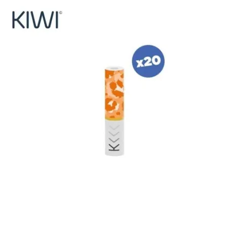 Filtres Kiwi Vapor (X20)